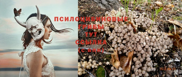 трава Белоозёрский