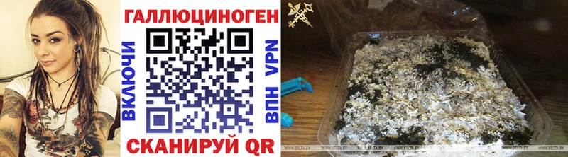 Галлюциногенные грибы мухоморы  хочу наркоту  Салаир 
